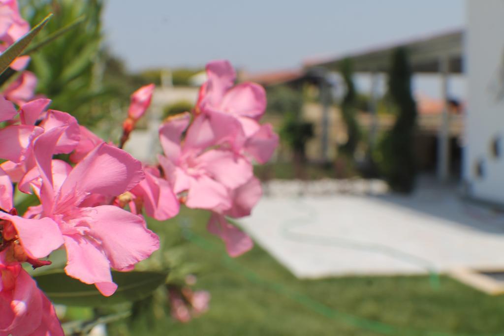 Lapis Port Surf Hotel Alaçatı Phòng bức ảnh