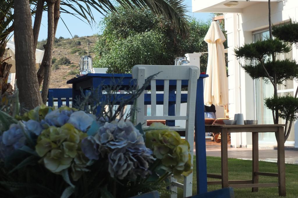 Lapis Port Surf Hotel Alaçatı Ngoại thất bức ảnh